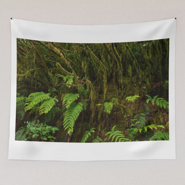Item preview, Ferns and moss in Anaga forest designed and sold by Imagerisium.