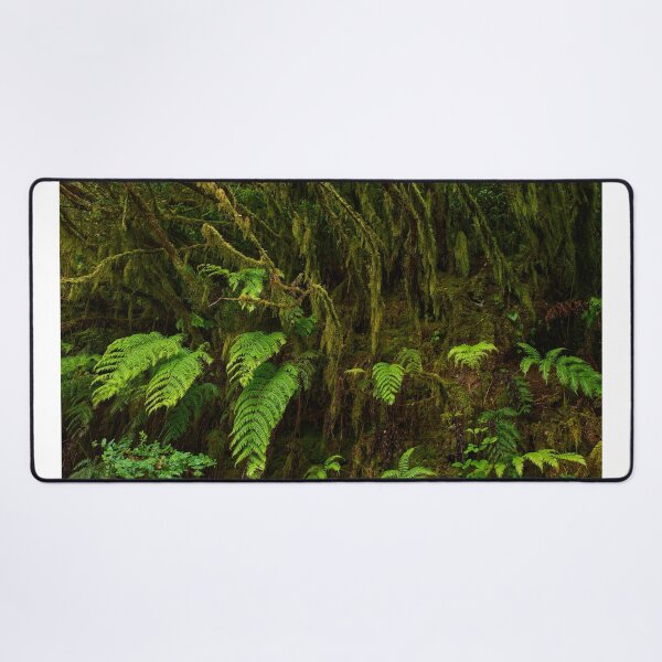 Item preview, Ferns and moss in Anaga forest designed and sold by Imagerisium.