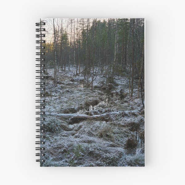 Item preview, The brook to the Kirkaslampi. Seitseminen 2025 designed and sold by Jouko Lehto Photography.