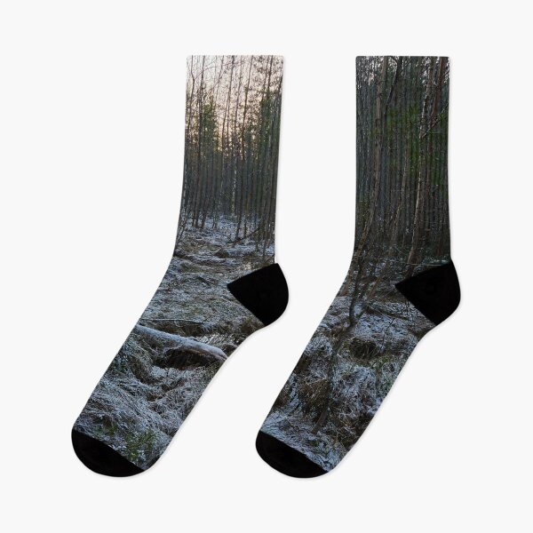 Item preview, The brook to the Kirkaslampi. Seitseminen 2025 designed and sold by Jouko Lehto Photography.
