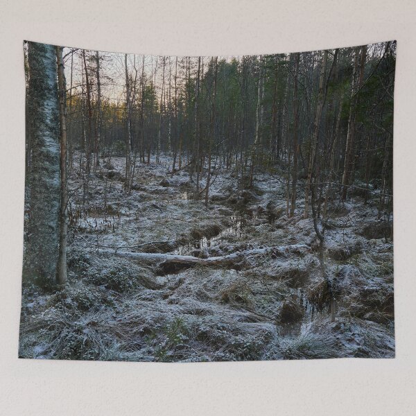 Item preview, The brook to the Kirkaslampi. Seitseminen 2025 designed and sold by Jouko Lehto Photography.
