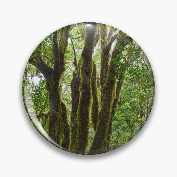 Item preview, Gnarled moss-covered laurisilva trees designed and sold by Imagerisium.
