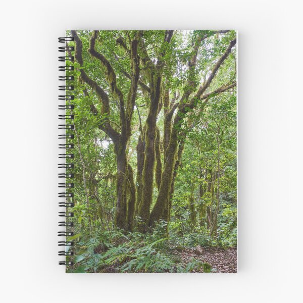 Item preview, Gnarled moss-covered laurisilva trees designed and sold by Imagerisium.