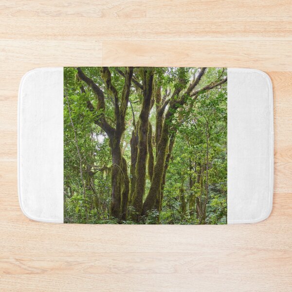 Item preview, Gnarled moss-covered laurisilva trees designed and sold by Imagerisium.