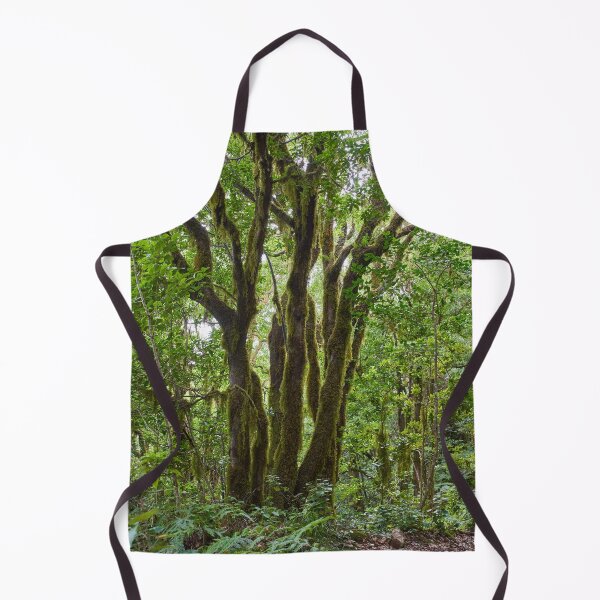 Item preview, Gnarled moss-covered laurisilva trees designed and sold by Imagerisium.
