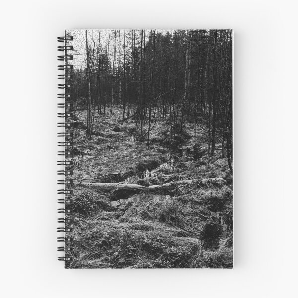 Item preview, The brook to the Kirkaslampi. Seitseminen 2025 bw designed and sold by Jouko Lehto Photography.