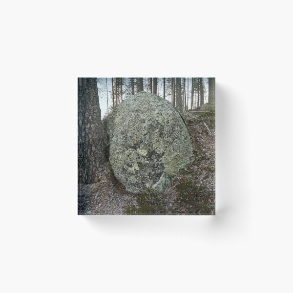 Item preview, The boulder and the pine. Seitseminen 2025 designed and sold by Jouko Lehto Photography.