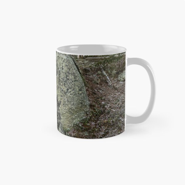 Item preview, The boulder and the pine. Seitseminen 2025 designed and sold by Jouko Lehto Photography.