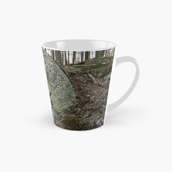 Item preview, The boulder and the pine. Seitseminen 2025 designed and sold by Jouko Lehto Photography.
