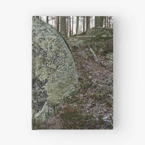 Item preview, The boulder and the pine. Seitseminen 2025 designed and sold by Jouko Lehto Photography.