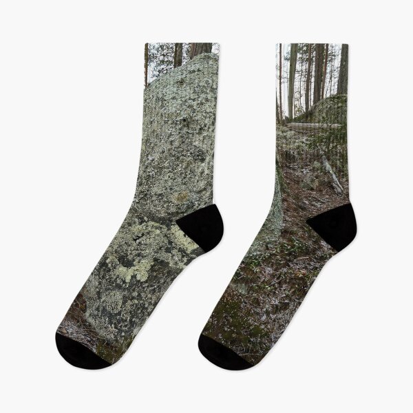 Item preview, The boulder and the pine. Seitseminen 2025 designed and sold by Jouko Lehto Photography.