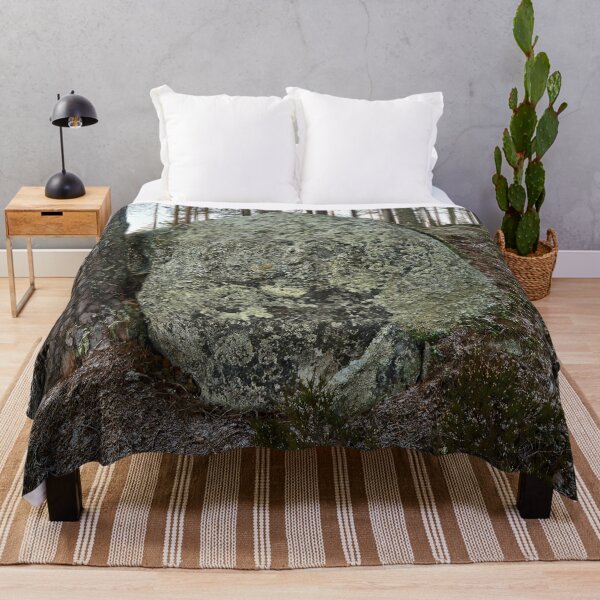 Item preview, The boulder and the pine. Seitseminen 2025 designed and sold by Jouko Lehto Photography.