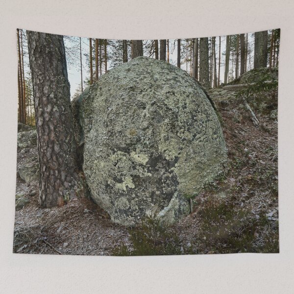 Item preview, The boulder and the pine. Seitseminen 2025 designed and sold by Jouko Lehto Photography.