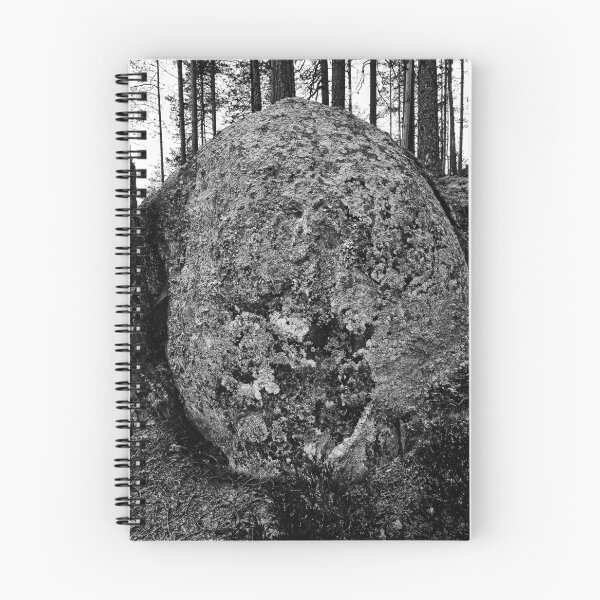 Item preview, The boulder and the pine. Seitseminen 2025 bw designed and sold by Jouko Lehto Photography.