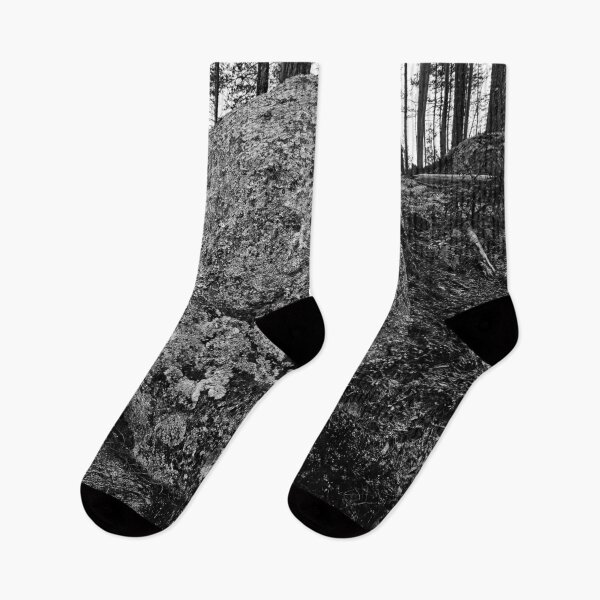 Item preview, The boulder and the pine. Seitseminen 2025 bw designed and sold by Jouko Lehto Photography.