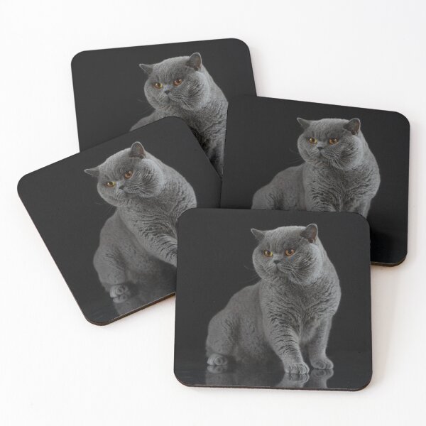 Item preview, British shorthair cat designed and sold by ART-SUNRISE.