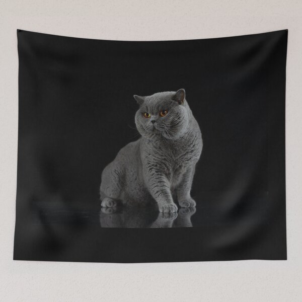 Item preview, British shorthair cat designed and sold by ART-SUNRISE.