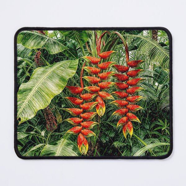 Item preview, Hanging lobster claw or Parrot’s beak#7 designed and sold by Helios Be. Lavsh.