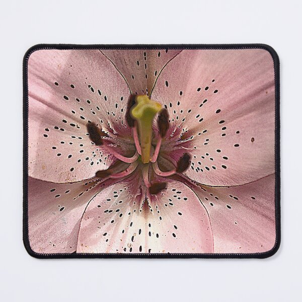 Item preview, Lilium Pink (2) designed and sold by Larry Davis.