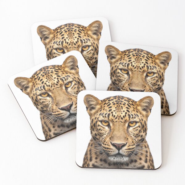 Item preview, Intense Leopard Staring at Camera designed and sold by RamboDesign.