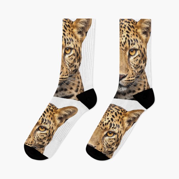 Item preview, Intense Leopard Staring at Camera designed and sold by RamboDesign.