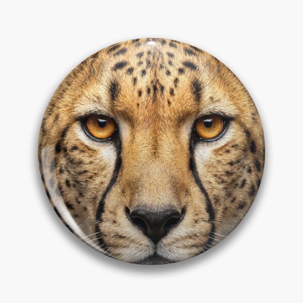 Aperçu de l'œuvre Guépard Regard Intense — Animal Sauvage créée et vendue par RamboDesign.