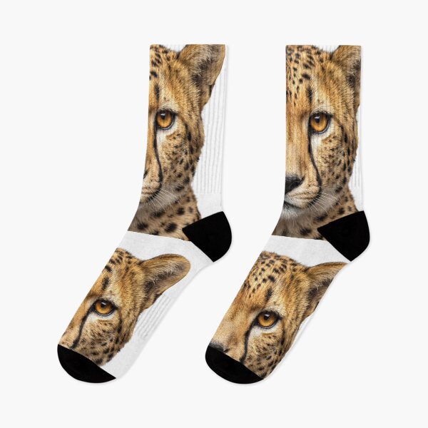 Item preview, Intense Cheetah Staring at Camera designed and sold by RamboDesign.