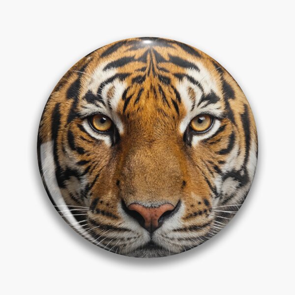 Item preview, Tigre con Mirada Intensa designed and sold by RamboDesign.
