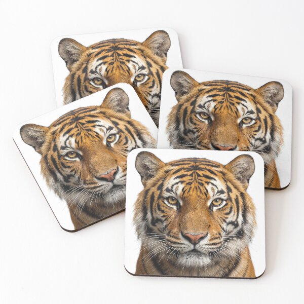 Item preview, Intense Tiger Staring at Camera designed and sold by RamboDesign.