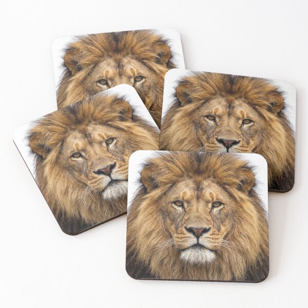 Item preview, Adult Lion Intense Stare Portrait designed and sold by RamboDesign.