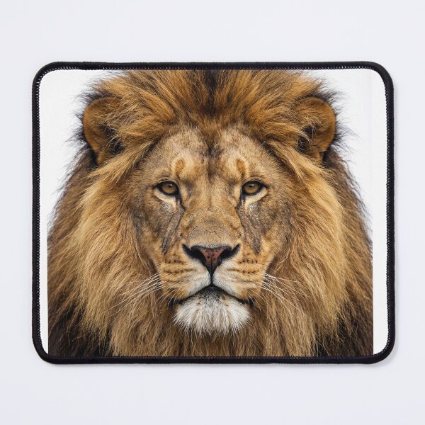 Item preview, Adult Lion Intense Stare Portrait designed and sold by RamboDesign.