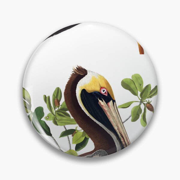 Item preview, Brown Pelican - John James Audubon designed and sold by Jon-Baran.