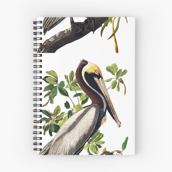Item preview, Brown Pelican - John James Audubon designed and sold by Jon-Baran.
