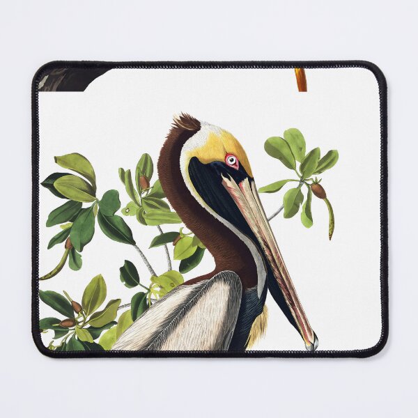 Item preview, Brown Pelican - John James Audubon designed and sold by Jon-Baran.