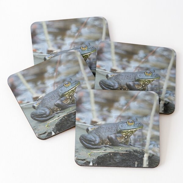 Item preview, Frog frog frog so pretty designed and sold by MarkSmalley.