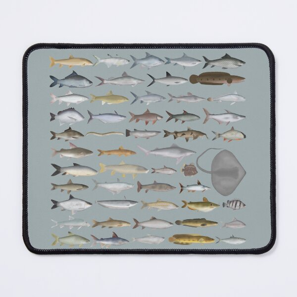 Item preview, South Asia Freshwater Fish Group designed and sold by fishfolkart.