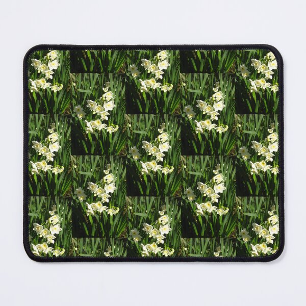Item preview, Fragrant, Sweet Paperwhites Blooming to Promise Spring designed and sold by JoyousArt4u.