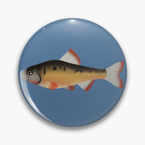 Item preview, Common Shiner (L. ) designed and sold by ShinsShui.