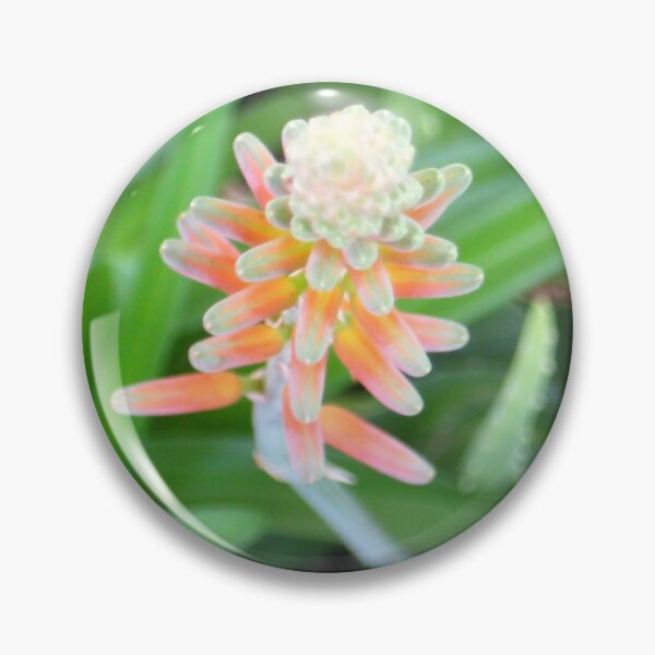 Item preview, Aloe Vera Flower Buds, Ready to Celebrate designed and sold by JoyousArt4u.