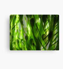 Broccoli Forest Canvas Print
