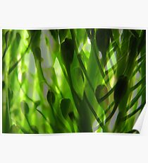 Broccoli Forest Poster