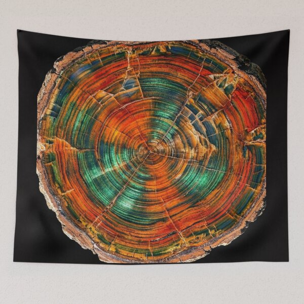 Item preview, Colorful Petrified Wood designed and sold by Tridentulus.