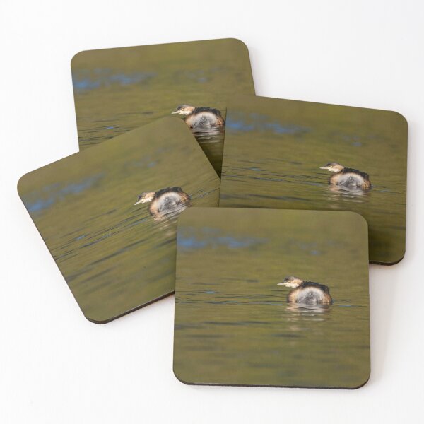 Item preview, Australasian Grebe Floating on Calm Water designed and sold by Barry Callister Photography.