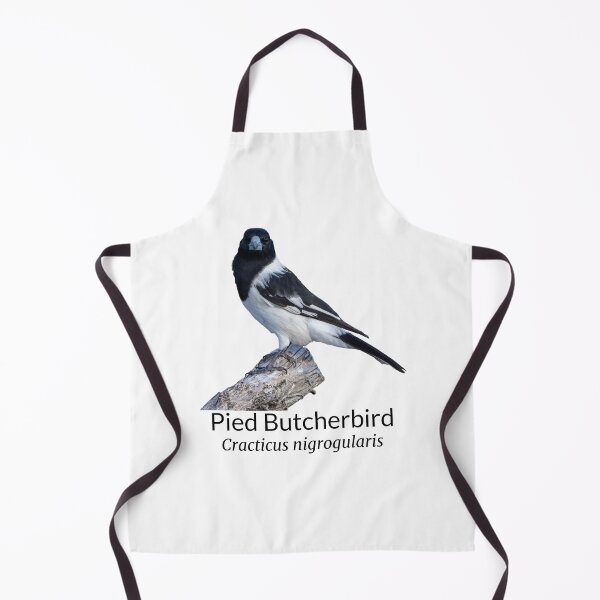 Item preview, Pied Butcherbird Australian Bird with Scientific Name designed and sold by Barry Callister Photography.