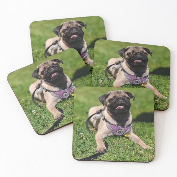 Item preview, Pug in the sun designed and sold by LivingwithPasta.