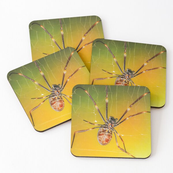 Item preview, Australian Golden Orb Weaver Spider designed and sold by robdwildlife.