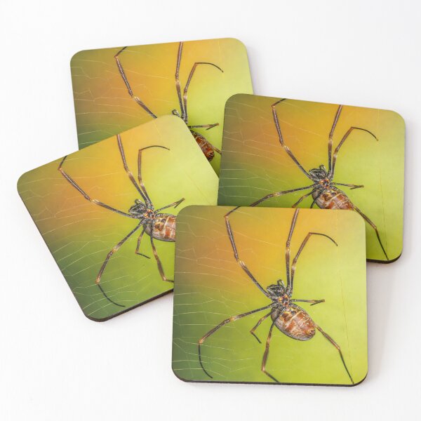 Item preview, Australian Golden Orb Weaver Spider designed and sold by robdwildlife.
