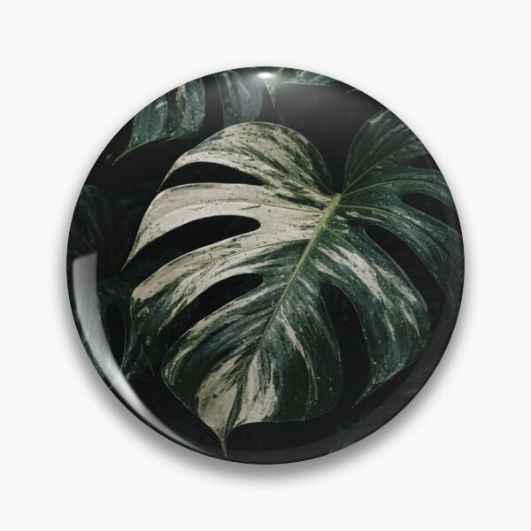 Item preview, Variegated Monstera designed and sold by sjm-artworks.