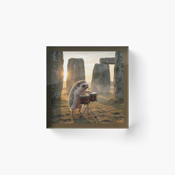 Item preview, Hedgehog Plays the Bongos at Stonehenge designed and sold by Tridentulus.
