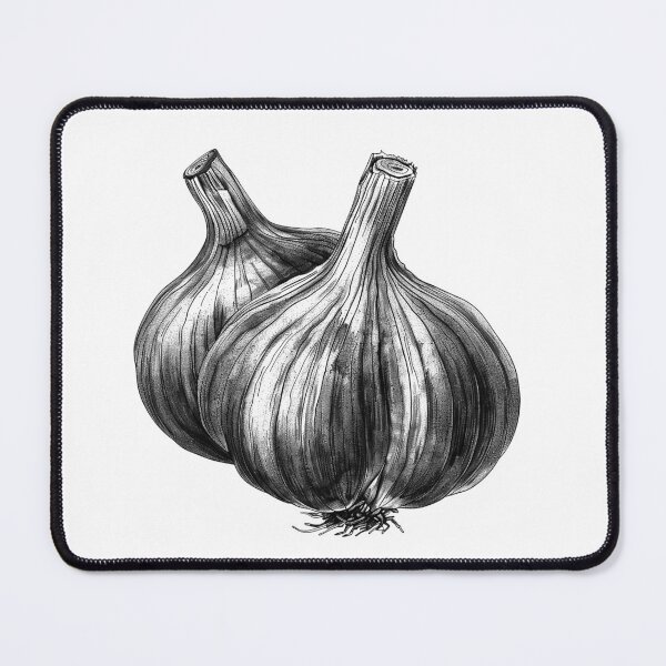 Item preview, Garlic Bulbs Illustration | Black and White Botanical Kitchen Art designed and sold by inkoutninja.